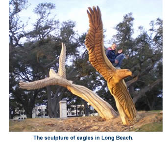 Eagles in Long Beach