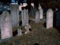 biloxi-cemetery-5-nicole-young_jpg