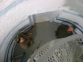 dsc04168