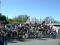 dsc04201