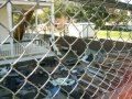 dsc03548