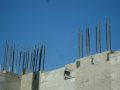 dsc04979