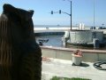 dsc04674