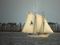 hermitofdeerisland22