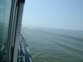 dsc05981
