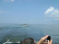 dsc05989