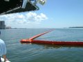 2_dsc00678d