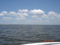 2_dsc00695