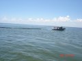 2_dsc00736