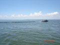 2_dsc00737