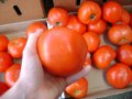 dsc06454