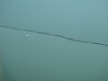 dsc07867a9