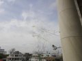 dsc01086