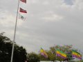 dsc01154