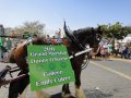 dsc01520
