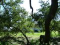 dsc08515
