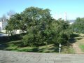 dsc08595