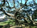 dsc08618