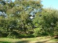 dsc08621