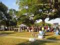 dsc02581