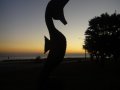 dsc05868