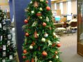 christmas2011106
