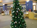 christmas201151