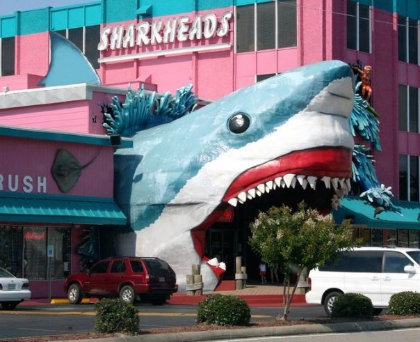 sharkshead2