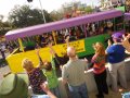 dsc08141