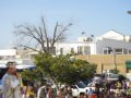 dsc08265
