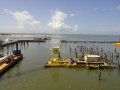 dsc00249