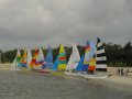 dsc00556