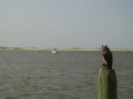 dsc00559