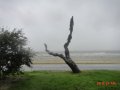 dsc01101