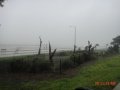 dsc01125