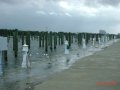 dsc09260