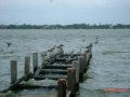 dsc09278