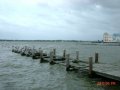 dsc09279