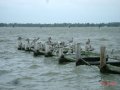 dsc09280