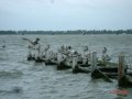 dsc09281