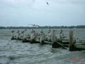 dsc09283