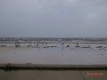 dsc09301