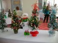 dsc09353