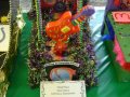 dsc09559