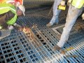 img_1830
