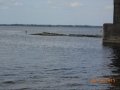 dscn0012