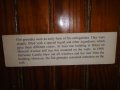 dsc02674