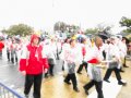 dsc03903