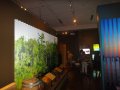 dsc03790